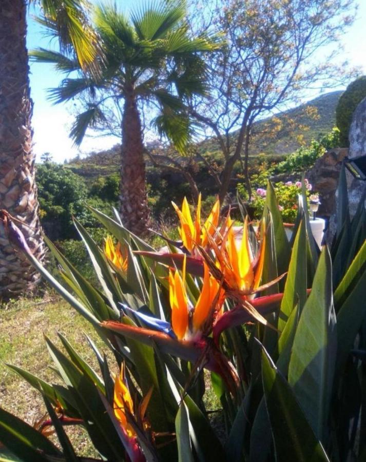 La Casita Ma Petite Folie Tenerife Санта-Крус-де-Тенеріфе Екстер'єр фото