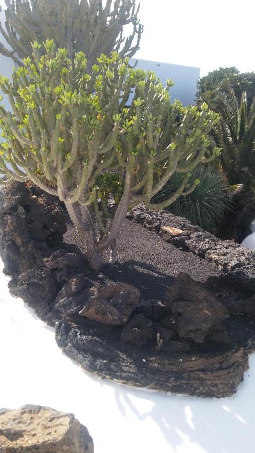 La Casita Ma Petite Folie Tenerife Санта-Крус-де-Тенеріфе Екстер'єр фото